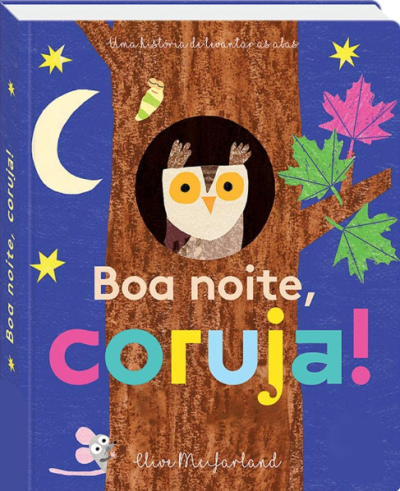 UM LIVRINHO COM ABAS: BOA NOITE, CORUJA!